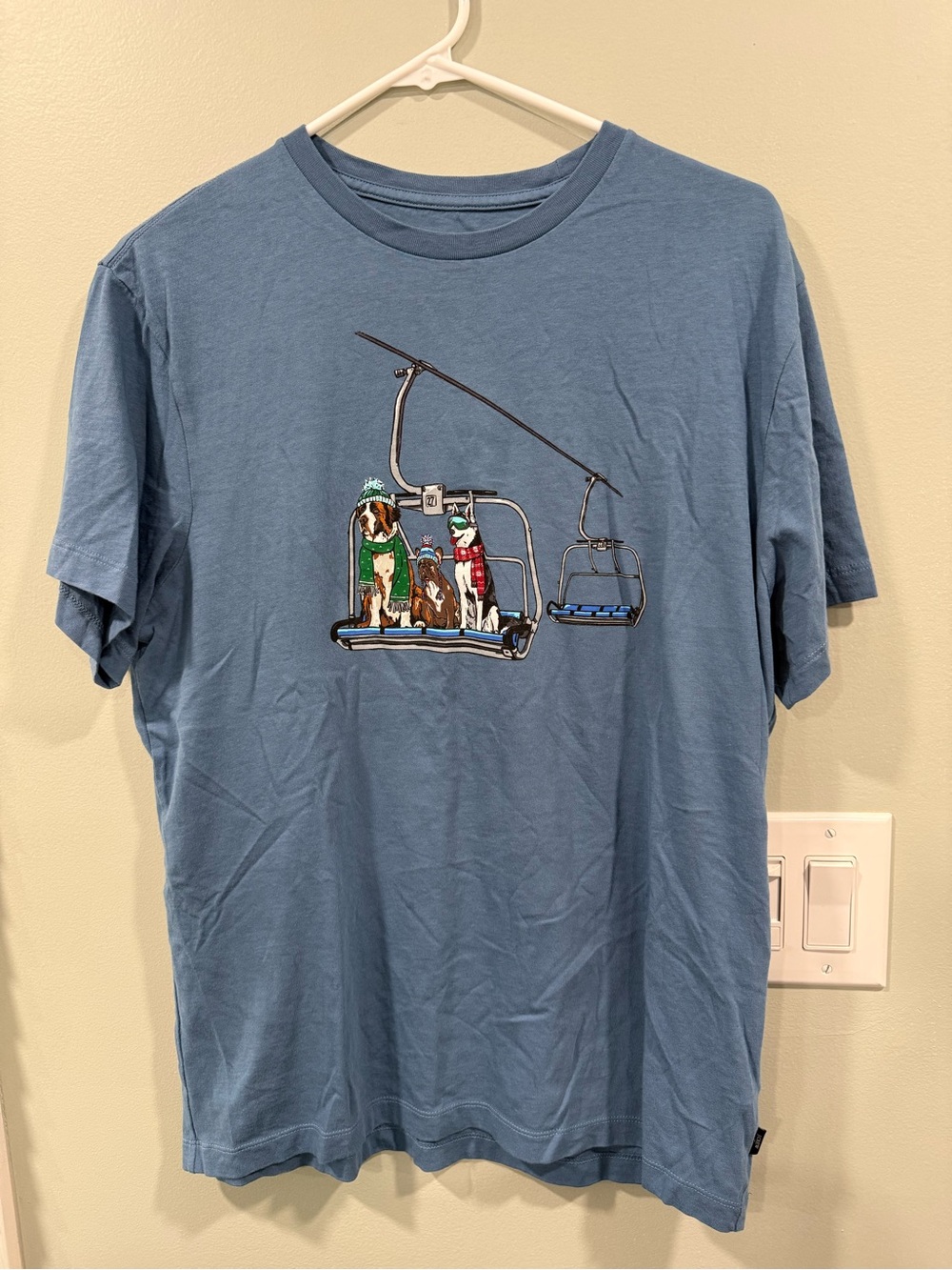 J. Crew Dusty Blue Graphic Tee